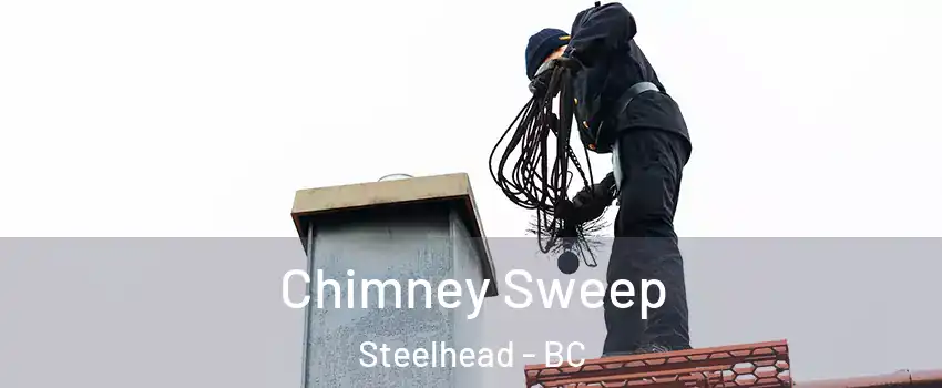  Chimney Sweep Steelhead - BC