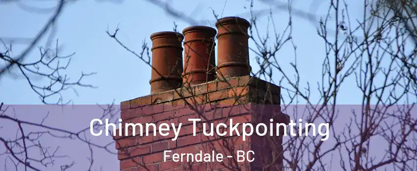  Chimney Tuckpointing Ferndale - BC