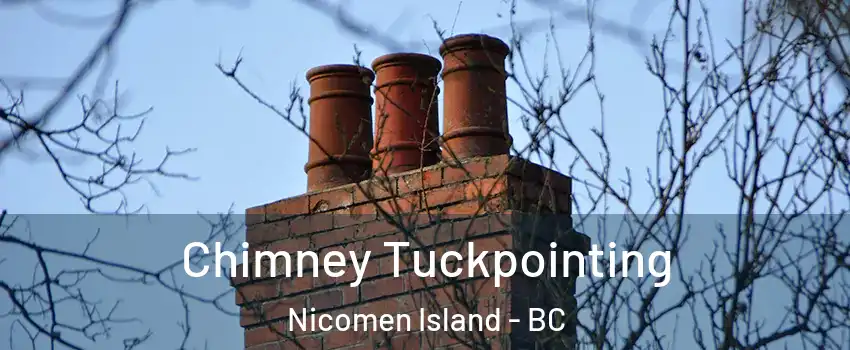  Chimney Tuckpointing Nicomen Island - BC