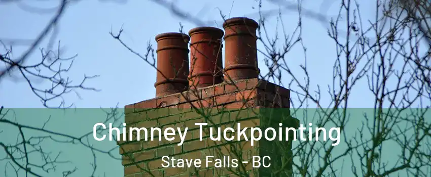  Chimney Tuckpointing Stave Falls - BC