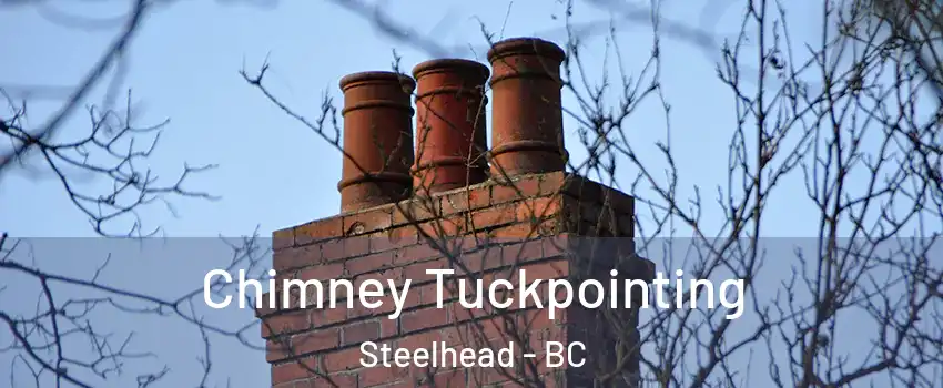  Chimney Tuckpointing Steelhead - BC