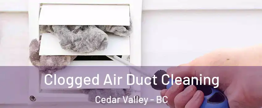  Clogged Air Duct Cleaning Cedar Valley - BC