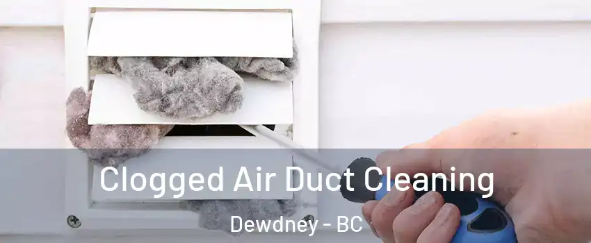  Clogged Air Duct Cleaning Dewdney - BC