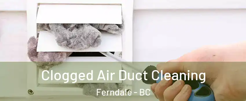  Clogged Air Duct Cleaning Ferndale - BC