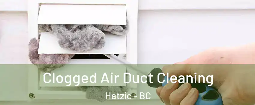  Clogged Air Duct Cleaning Hatzic - BC