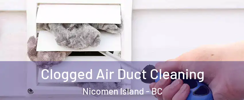  Clogged Air Duct Cleaning Nicomen Island - BC