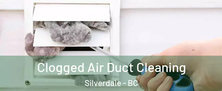  Clogged Air Duct Cleaning Silverdale - BC