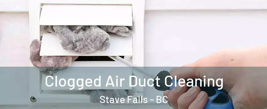  Clogged Air Duct Cleaning Stave Falls - BC