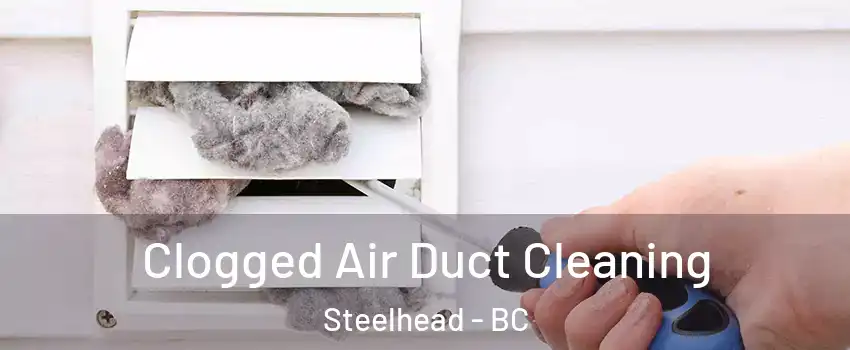  Clogged Air Duct Cleaning Steelhead - BC