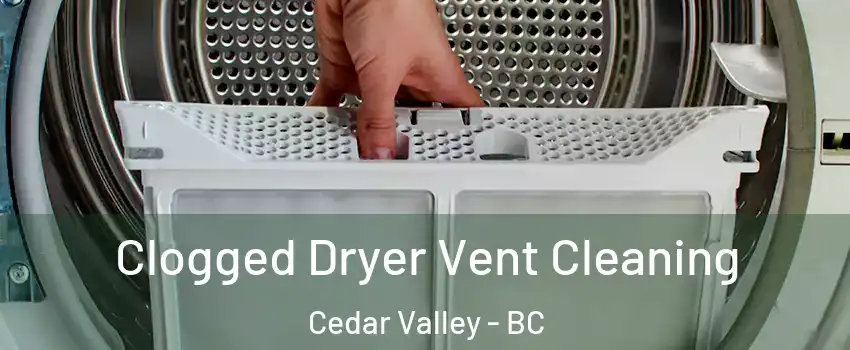  Clogged Dryer Vent Cleaning Cedar Valley - BC