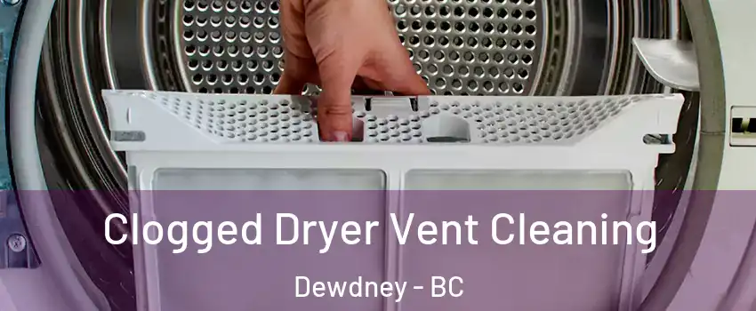  Clogged Dryer Vent Cleaning Dewdney - BC