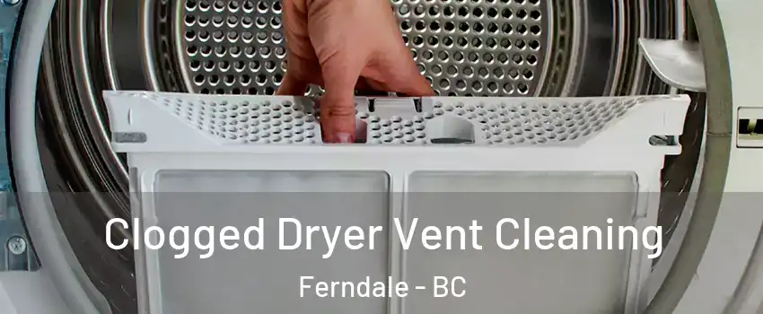  Clogged Dryer Vent Cleaning Ferndale - BC
