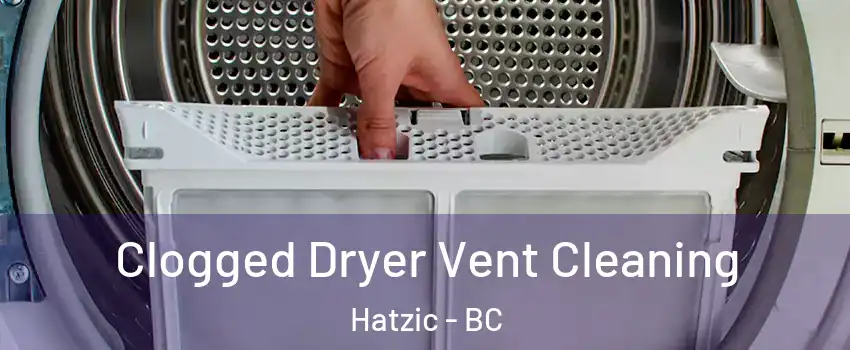  Clogged Dryer Vent Cleaning Hatzic - BC