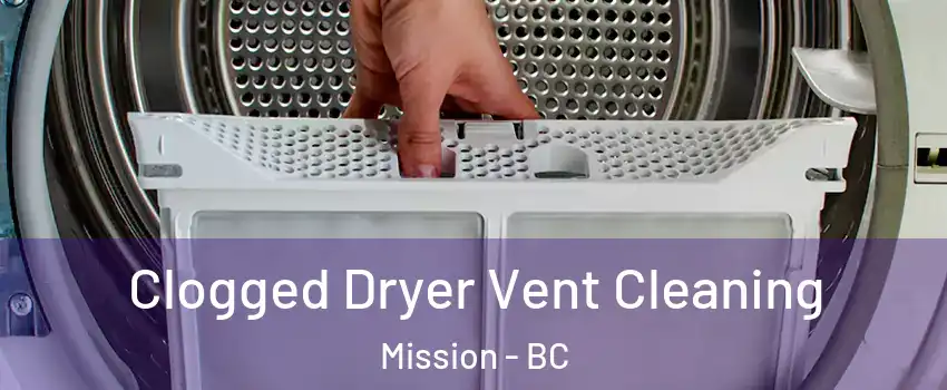  Clogged Dryer Vent Cleaning Mission - BC