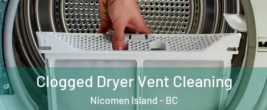  Clogged Dryer Vent Cleaning Nicomen Island - BC