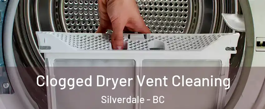  Clogged Dryer Vent Cleaning Silverdale - BC