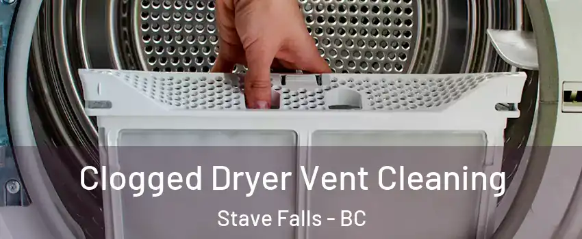  Clogged Dryer Vent Cleaning Stave Falls - BC