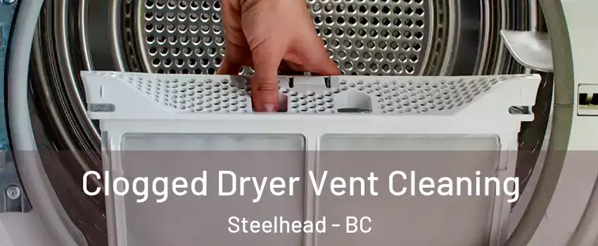  Clogged Dryer Vent Cleaning Steelhead - BC