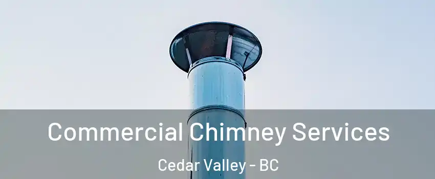  Commercial Chimney Services Cedar Valley - BC