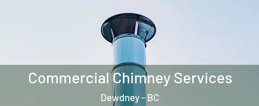  Commercial Chimney Services Dewdney - BC