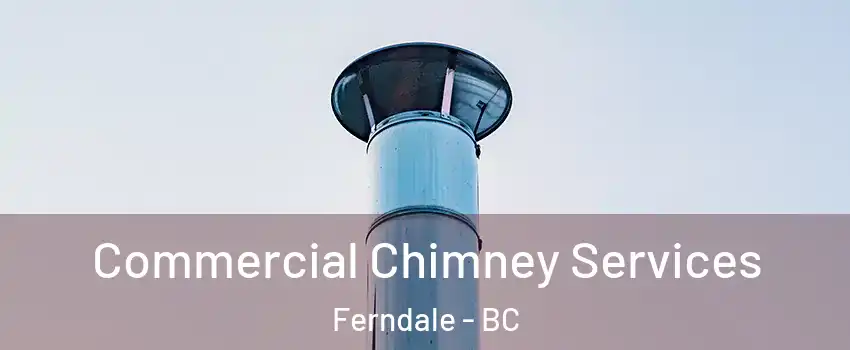  Commercial Chimney Services Ferndale - BC