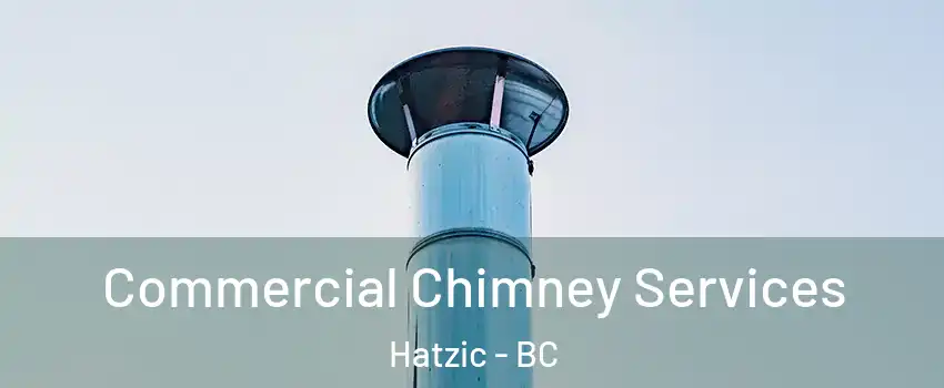  Commercial Chimney Services Hatzic - BC