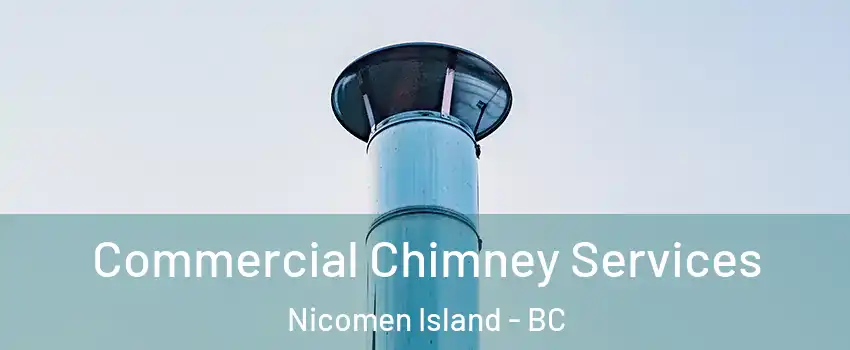  Commercial Chimney Services Nicomen Island - BC