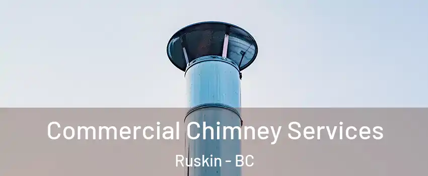  Commercial Chimney Services Ruskin - BC