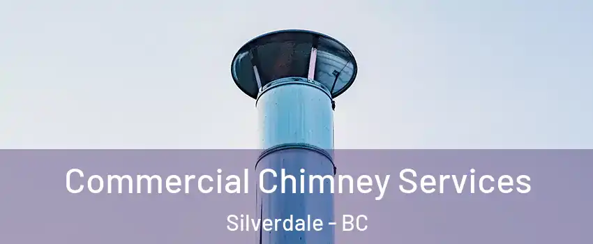  Commercial Chimney Services Silverdale - BC