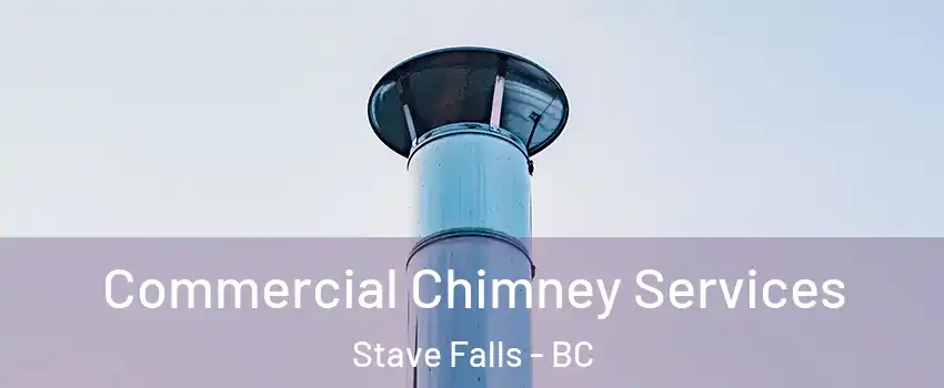 Commercial Chimney Services Stave Falls - BC