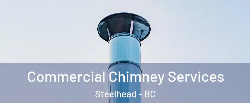 Commercial Chimney Services Steelhead - BC