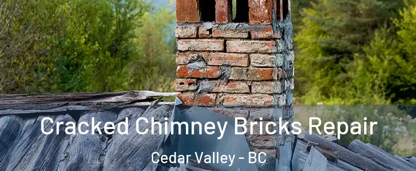  Cracked Chimney Bricks Repair Cedar Valley - BC