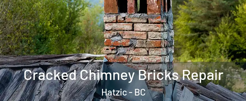  Cracked Chimney Bricks Repair Hatzic - BC