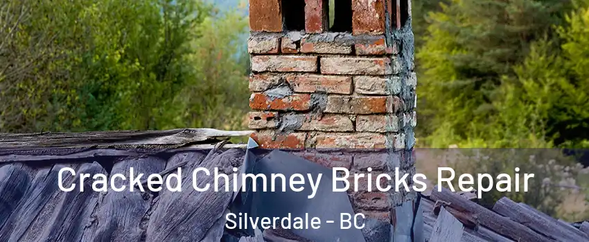  Cracked Chimney Bricks Repair Silverdale - BC