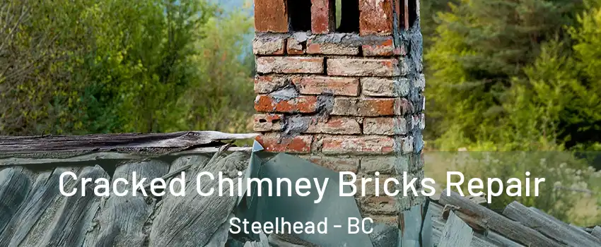  Cracked Chimney Bricks Repair Steelhead - BC