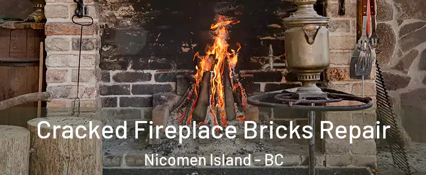  Cracked Fireplace Bricks Repair Nicomen Island - BC