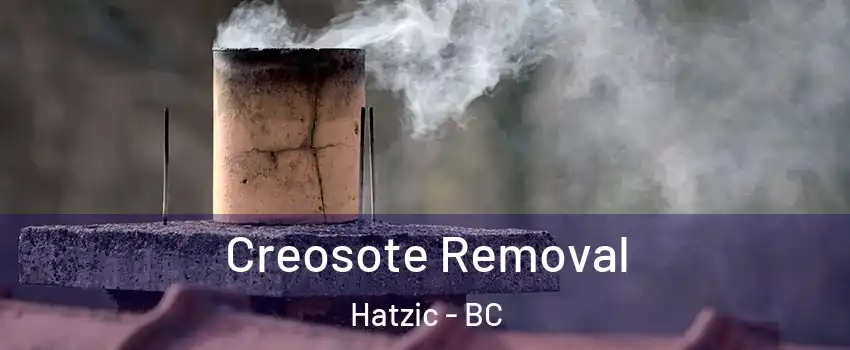  Creosote Removal Hatzic - BC