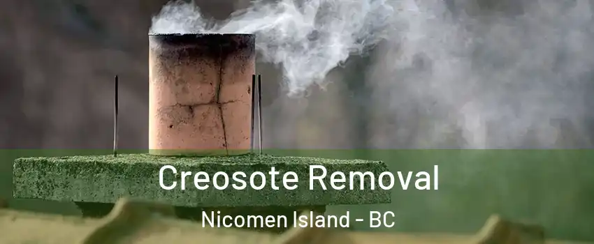  Creosote Removal Nicomen Island - BC