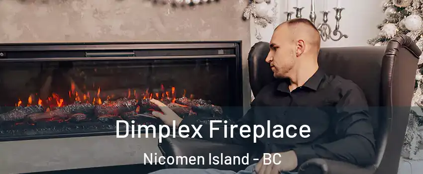  Dimplex Fireplace Nicomen Island - BC