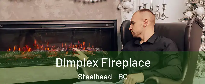  Dimplex Fireplace Steelhead - BC