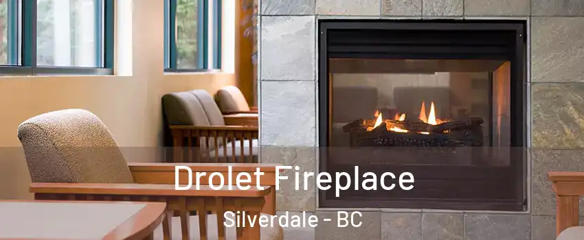 Drolet Fireplace Silverdale - BC