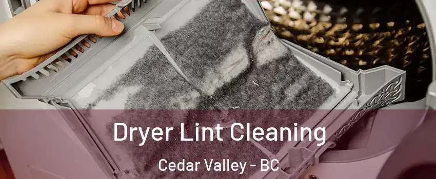  Dryer Lint Cleaning Cedar Valley - BC