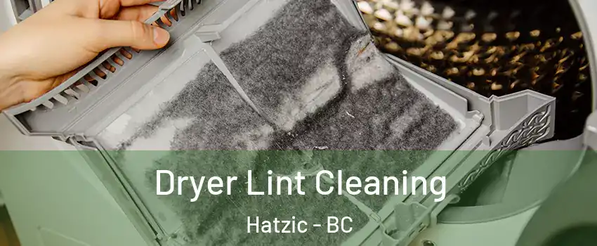  Dryer Lint Cleaning Hatzic - BC