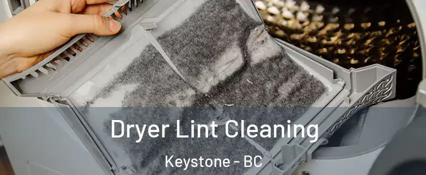  Dryer Lint Cleaning Keystone - BC