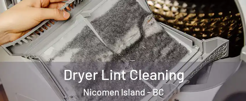  Dryer Lint Cleaning Nicomen Island - BC
