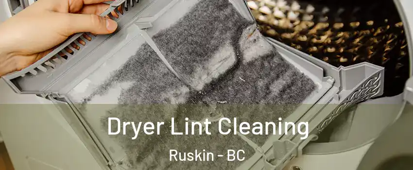  Dryer Lint Cleaning Ruskin - BC