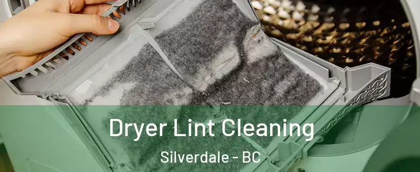  Dryer Lint Cleaning Silverdale - BC
