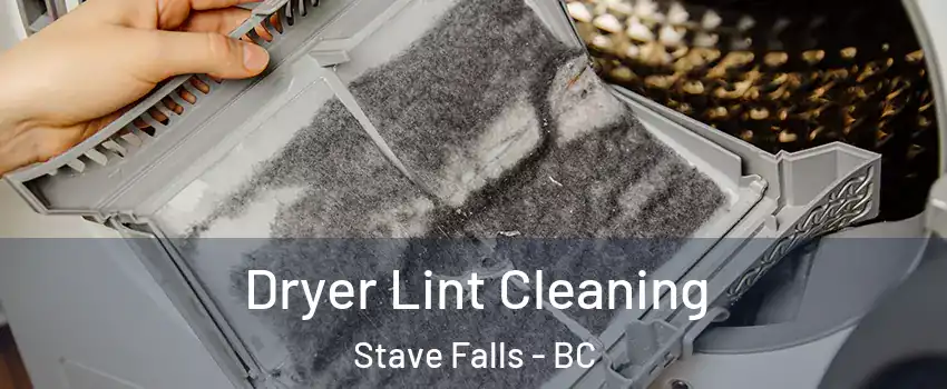  Dryer Lint Cleaning Stave Falls - BC