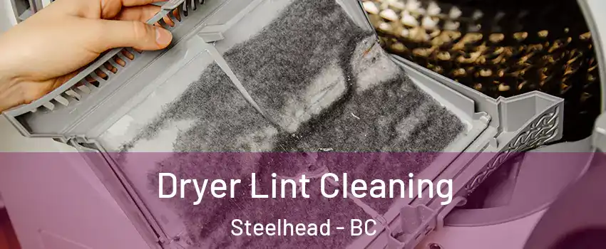 Dryer Lint Cleaning Steelhead - BC