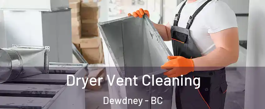  Dryer Vent Cleaning Dewdney - BC